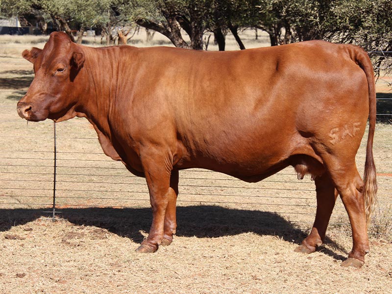 ADV 120012